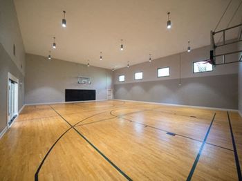 Modern basketball court